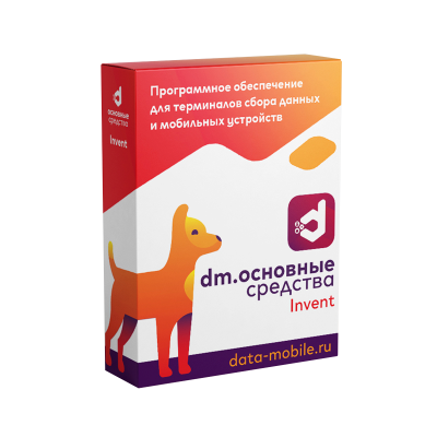 DataMobile Инвентаризация ОС